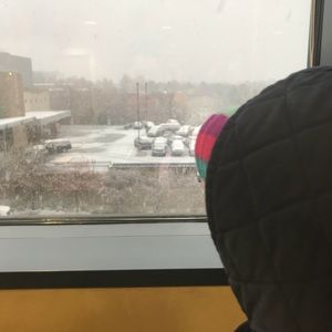 Meet your Posher, Marlene